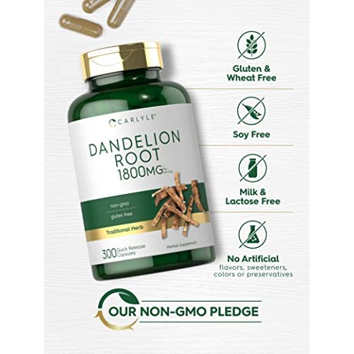 Carlyle Dandelion Root Capsules 1800mg | 300 Count | Non-GMO, Glu...