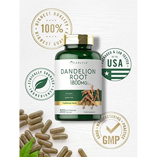 Carlyle Dandelion Root Capsules 1800mg | 300 Count | Non-GMO, Glu...