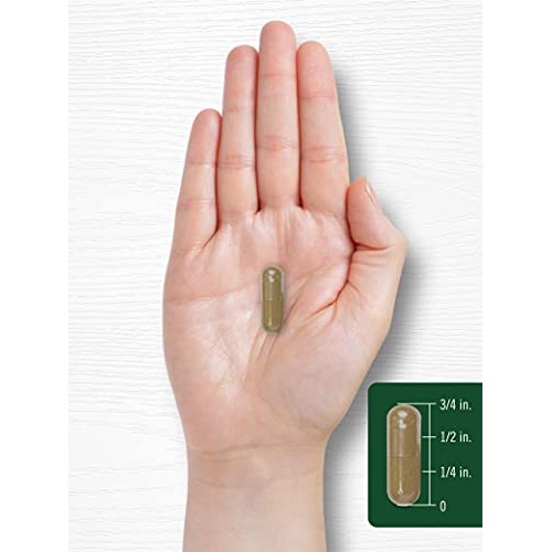 Carlyle Dandelion Root Capsules 1800mg | 300 Count | Non-GMO, Glu...
