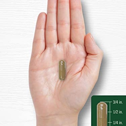 Carlyle Dandelion Root Capsules 1800mg | 300 Count | Non-GMO, Glu...
