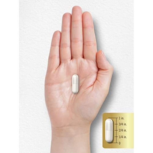 Carlyle L Carnitine 1500mg | 200 Capsules | Advanced Athlete Form...
