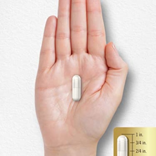 Carlyle L Carnitine 1500mg | 200 Capsules | Advanced Athlete Form...