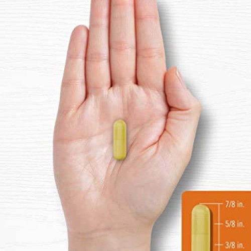 Turmeric Curcumin with Bioperine | 500 mg | 180 Powder Capsules |...