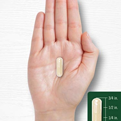 White Kidney Bean Carb Blocker | 6000mg | 200 Count | Non-GMO & G...