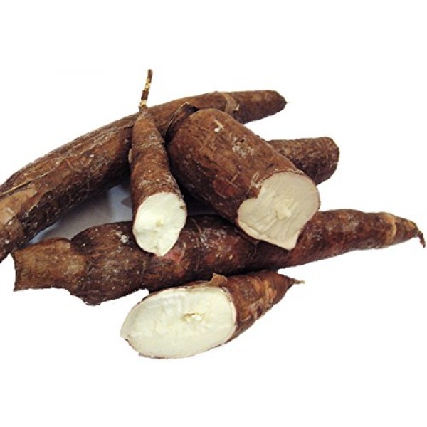 2 Month Supply Organic Cassava Root - Fertility Supplement for ...