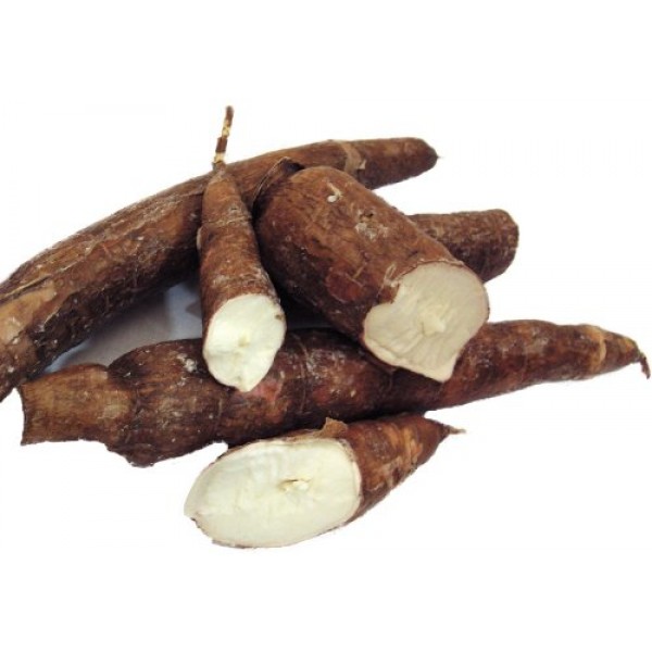 Cassava Twins 1 Month Supply Organic Cassava Root - Fertility Sup...