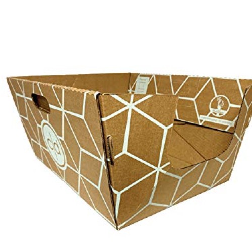 Cats Desire Disposable Litter Box-10 Pack.