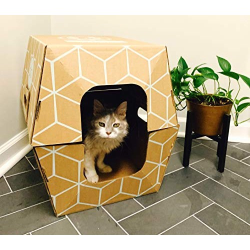 Cats Desire Disposable Litter Box-10 Pack.