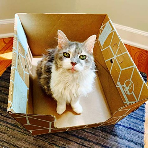 Cats Desire Disposable Litter Box-10 Pack.
