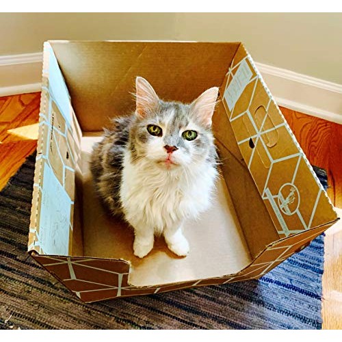 Cats Desire Disposable Litter Box-10 Pack.