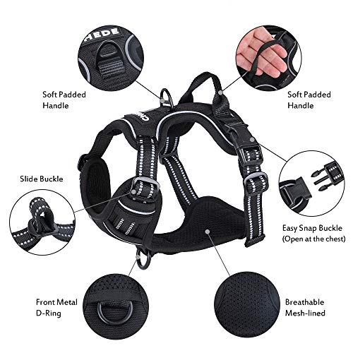 chede No Pull Dog Harness,Reflective Vest Harness with 2 Leash ,A...