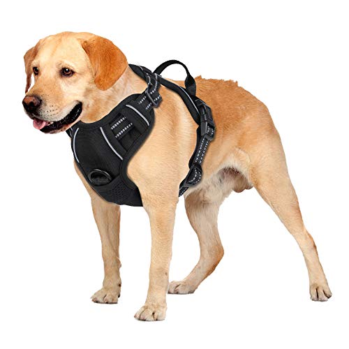 chede No Pull Dog Harness,Reflective Vest Harness with 2 Leash ,A...