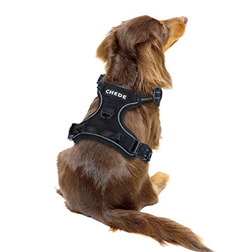 chede No Pull Dog Harness,Reflective Vest Harness with 2 Leash ,A...