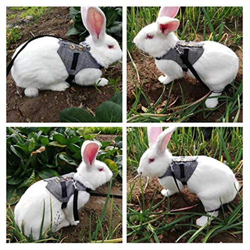 CHICIRIS Rabbit Vest, Soft Breathable Gentlemanly Style with Leas...