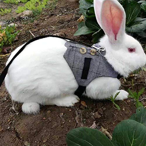 CHICIRIS Rabbit Vest, Soft Breathable Gentlemanly Style with Leas...