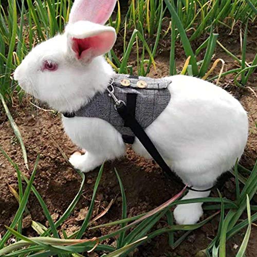 CHICIRIS Rabbit Vest, Soft Breathable Gentlemanly Style with Leas...