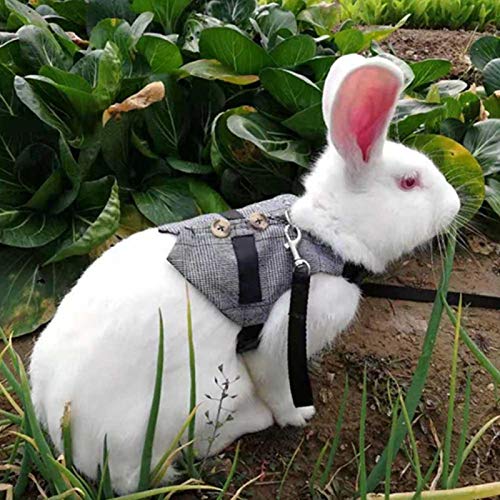 CHICIRIS Rabbit Vest, Soft Breathable Gentlemanly Style with Leas...