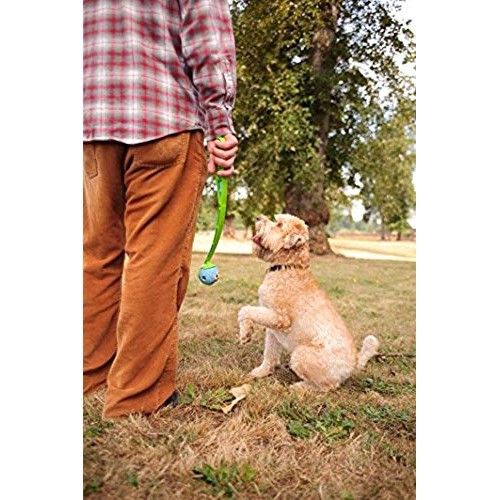 ChuckIt! Fetch Medley Ball Medium 3 Pack