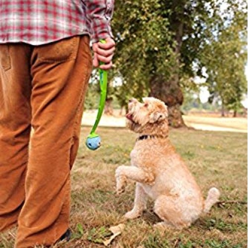 ChuckIt! Fetch Medley Ball Medium 3 Pack