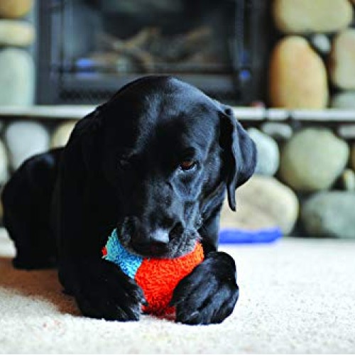 Chuckit! Indoor Ball for Small Dogs and Puppies Dog Toy Orange/Bl...