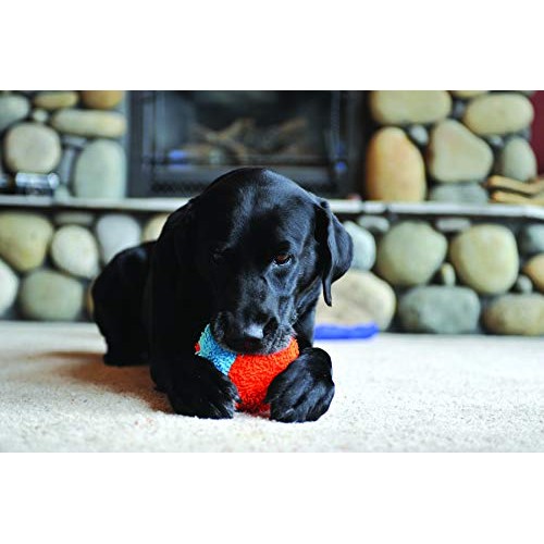 Chuckit! Indoor Ball for Small Dogs and Puppies Dog Toy Orange/Bl...