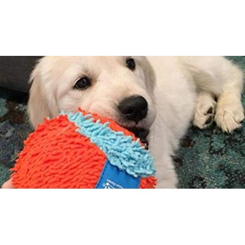 Chuckit! Indoor Ball for Small Dogs and Puppies Dog Toy Orange/Bl...