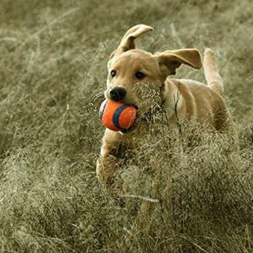 ChuckIt! Ultra Ball, Medium 2.5 Inch 2 Pack