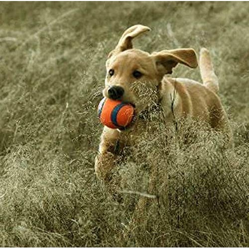 ChuckIt! Ultra Ball, Medium 2.5 Inch 2 Pack