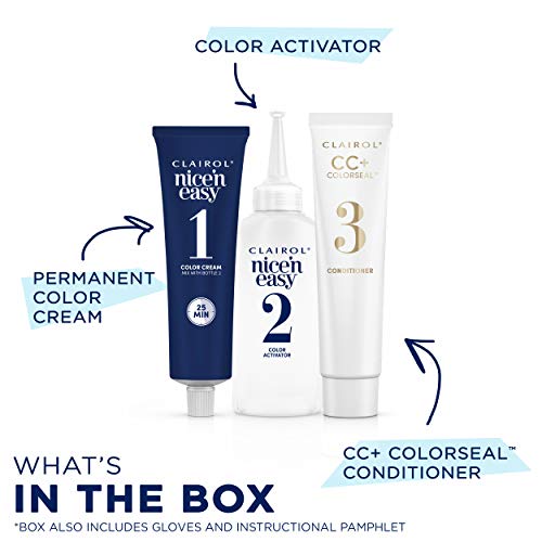 Clairol Nice N Easy Permanent Hair Color, 10 Extra Light Blonde ...