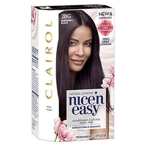 Clairol Nicen Easy Permanent Hair Dye, 2BG Burgundy Black Hair C...