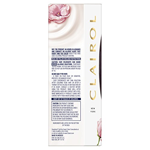Clairol Nicen Easy Permanent Hair Dye, 2BG Burgundy Black Hair C...