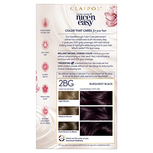 Clairol Nicen Easy Permanent Hair Dye, 2BG Burgundy Black Hair C...