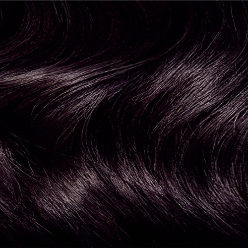 Clairol Nicen Easy Permanent Hair Dye, 2BG Burgundy Black Hair C...