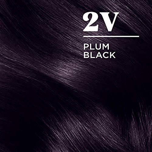 Clairol Nicen Easy Permanent Hair Dye, 2V Plum Black Hair Color,...