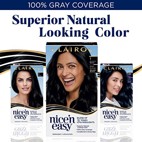 Clairol Nicen Easy Permanent Hair Dye, 2V Plum Black Hair Color,...