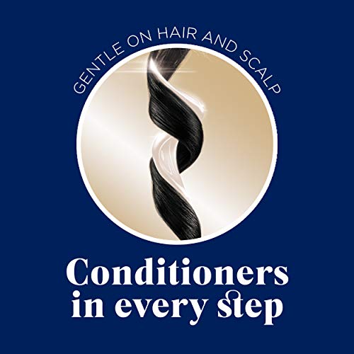 Clairol Nicen Easy Permanent Hair Dye, 2V Plum Black Hair Color,...