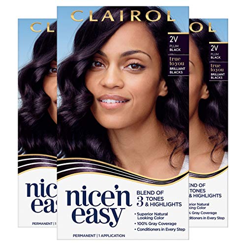 Clairol Nicen Easy Permanent Hair Dye, 2V Plum Black Hair Color,...