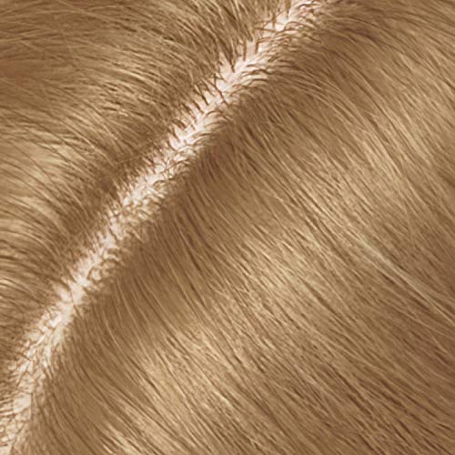 Clairol Root Touch-Up Permanent Hair Dye, 7 Dark Blonde Hair Colo...