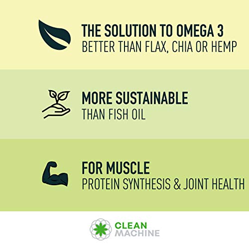 Ahiflower Oil - Award Winning Vegan Omega 3 - Plant Based Omega 4...