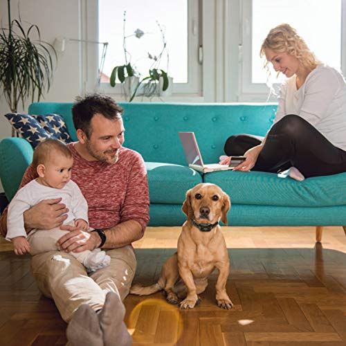 Dog Bark Collar, No Barking Shock Collar Anti Bark Rechargeable D...