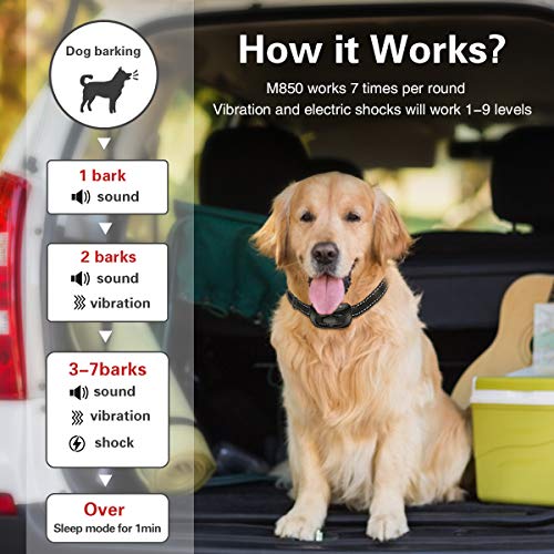 Dog Bark Collar, No Barking Shock Collar Anti Bark Rechargeable D...