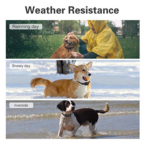 Dog Bark Collar, No Barking Shock Collar Anti Bark Rechargeable D...