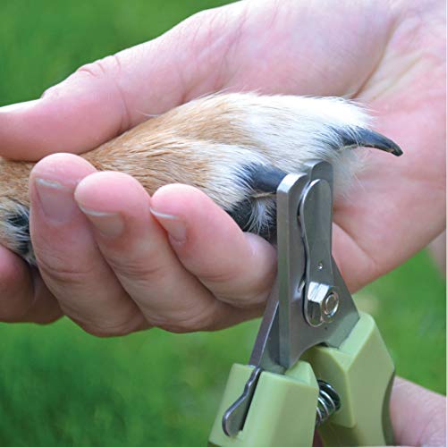 Safari Professional Stainless Steel Nail Trimmer for Dogs Small/...