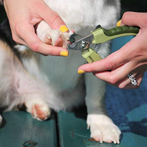 Safari Professional Stainless Steel Nail Trimmer for Dogs Small/...