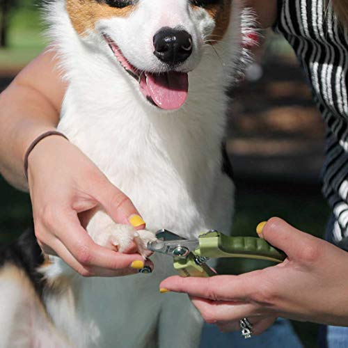 Safari Professional Stainless Steel Nail Trimmer for Dogs Small/...