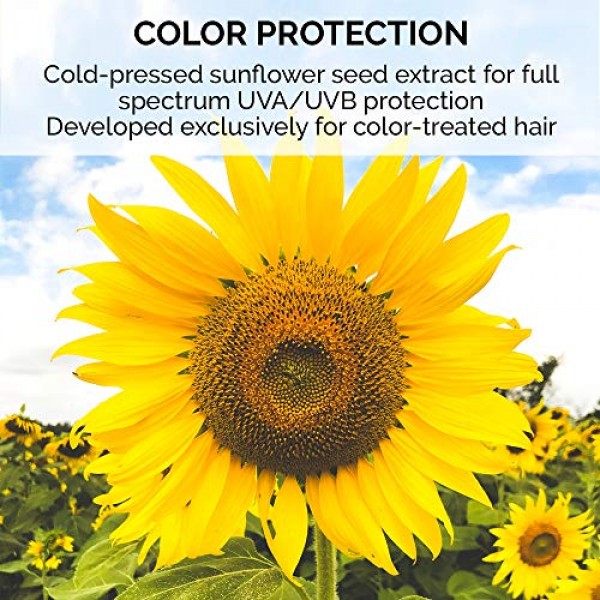 ColorProof SuperPlump Volumizing Shampoo for Color-Treated Hair