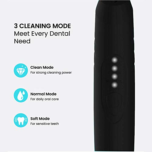 Electric Dental Tartar Calculus Plaque Remover with Mouth Mirror ...
