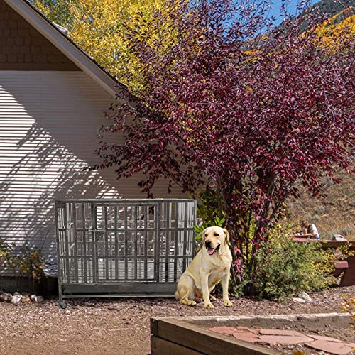 Confote 37” Heavy Duty Stainless Steel Dog Cage Kennel Crate and ...