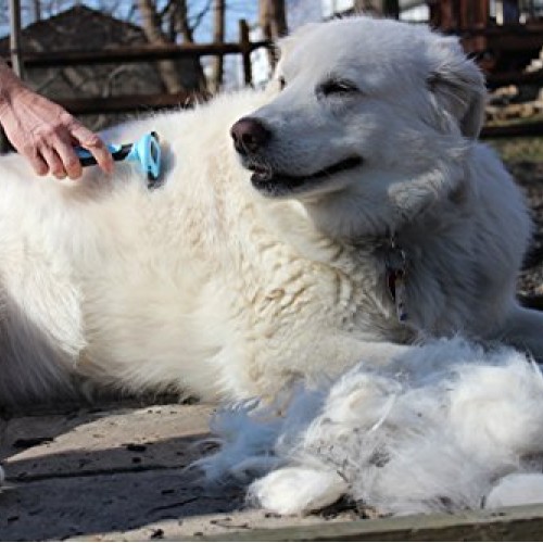 Copatchy Premium Cat and Dog Brush for Shedding