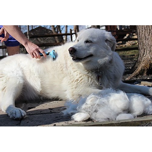 Copatchy Premium Cat and Dog Brush for Shedding